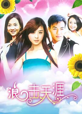 权明赫传 封面图