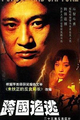 失足夫人 封面图